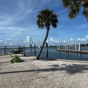 Meet your Posher, Brayden